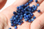 DISTHENE perles rondes 4 mm