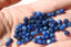 DISTHENE perles rondes 4 mm