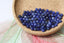 SODALITE perles FACETTES 4 mm