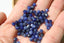 SODALITE perles FACETTES 4 mm