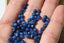 DISTHENE perles FACETTES 4 mm