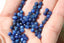 DISTHENE perles FACETTES 4 mm