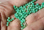 CHRYSOPRASE perles FACETTES 3 mm