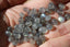 LABRADORITE perles nuggets / baroques