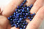 LAPIS LAZULI FACETTES  4 mm