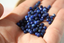 LAPIS LAZULI FACETTES  4 mm