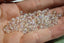 QUARTZ AURA Blanc perles de 4, 6 mm