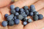 Perles de SODALITE mate perles de 6 et 8 mm