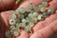 PREHNITE perles de 6 et 8 mm