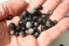 OBSIDIENNE ARGENTEE perles de 6, 8 et 10 mm