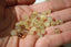 QUARTZ RUTILE perles de 6 et 8 mm