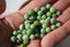 CHRYSOPRASE, perles de 6 et 8 mm