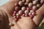 RHODONITE UNIE perles de 4, 6 et 8 mm