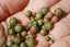 UNAKITE perles en 4 6 8 mm