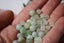 SERPENTINE perles de 6 et 8 mm