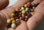 JASPE MOKAITE perles de 4, 6 et 8 mm