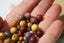 JASPE MOKAITE perles de 4, 6 et 8 mm