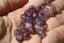 AURALITE, 6, 8 mm