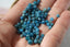 APATITE perles facettes 3.5 mm