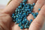 APATITE perles facettes 3.5 mm